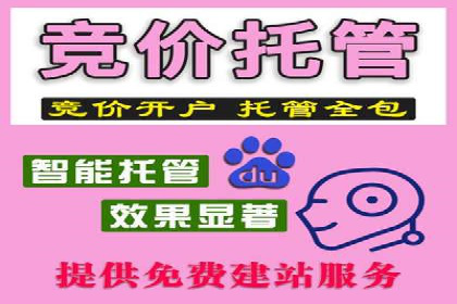 信息流运营实战：成功案例解析
